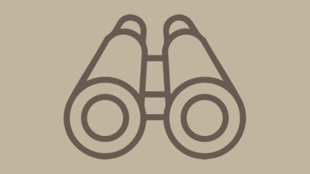 A pair of binoculars icon on a beige background.