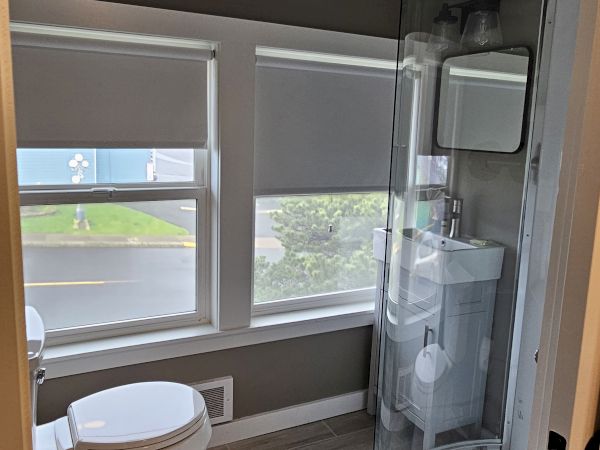A modern bathroom with a white toilet, large windows, and a glass-enclosed shower with a skylight-like ceiling curve.